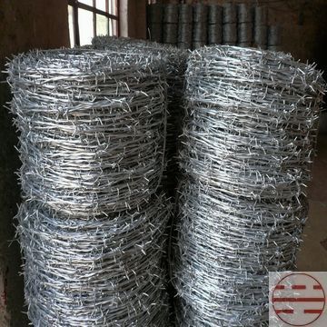 金屬絲繩制品全解析 從普通刺繩到不銹鋼刺繩的選購(gòu)指南