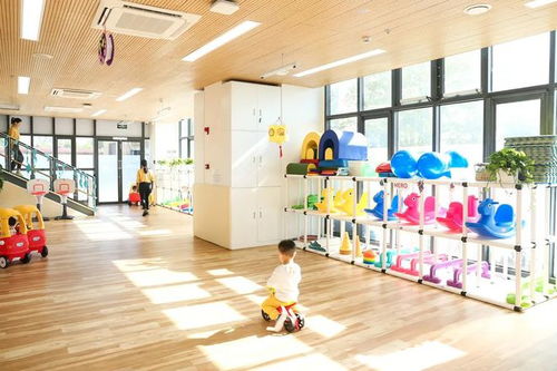 走進赫德雙語托育園 感統訓練器材解鎖孩子無限潛能